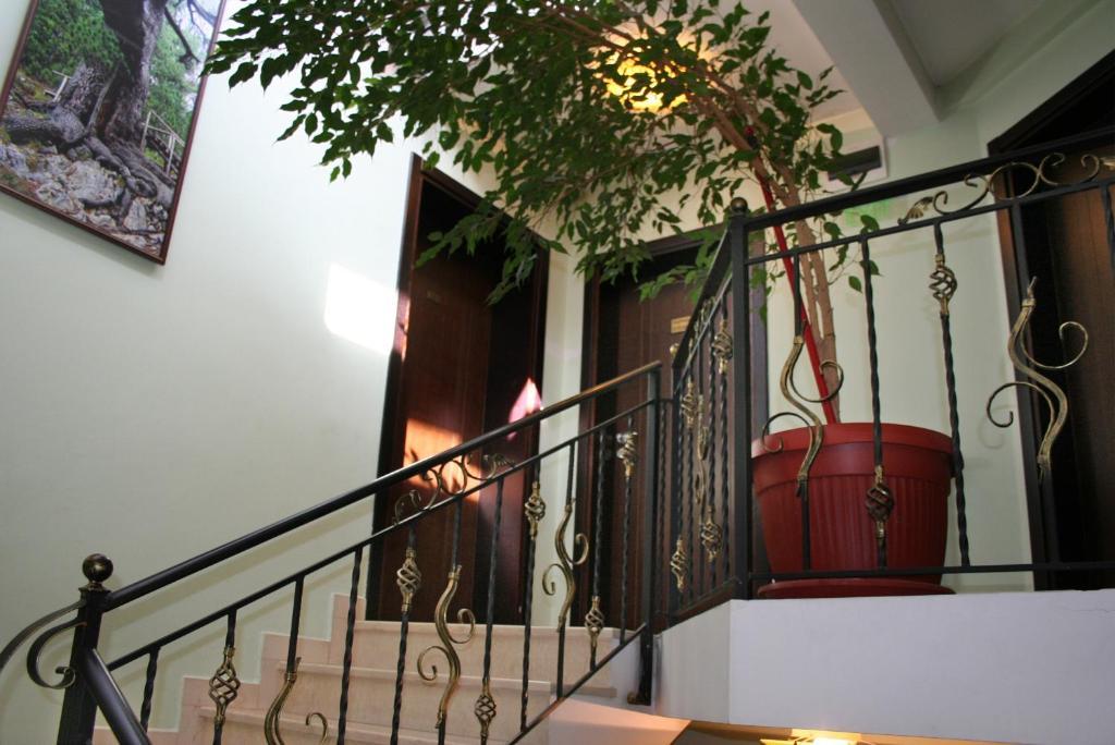 Family Hotel Zora Razlog Kültér fotó
